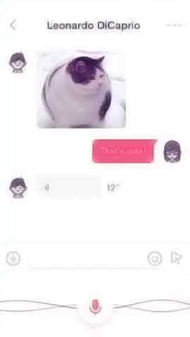 DDOS攻击平台软件程序维护界面